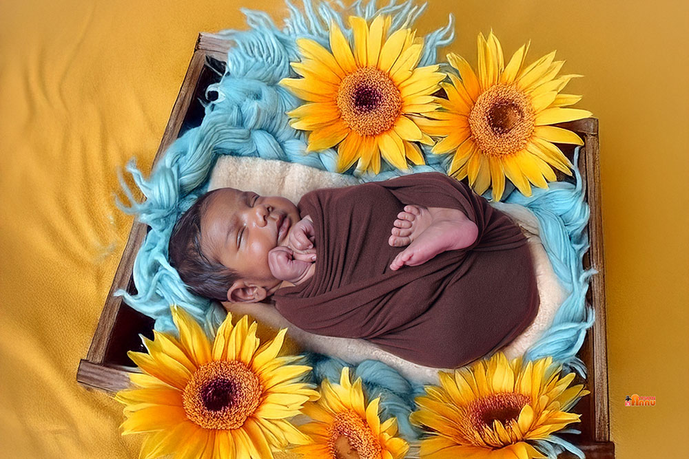 Newborn Photography Services