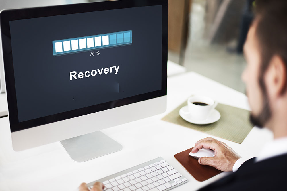 Data Recovery Services by Annuvision